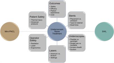 Developments in ureteroscopic stone treatment: Key themes and remaining challenges